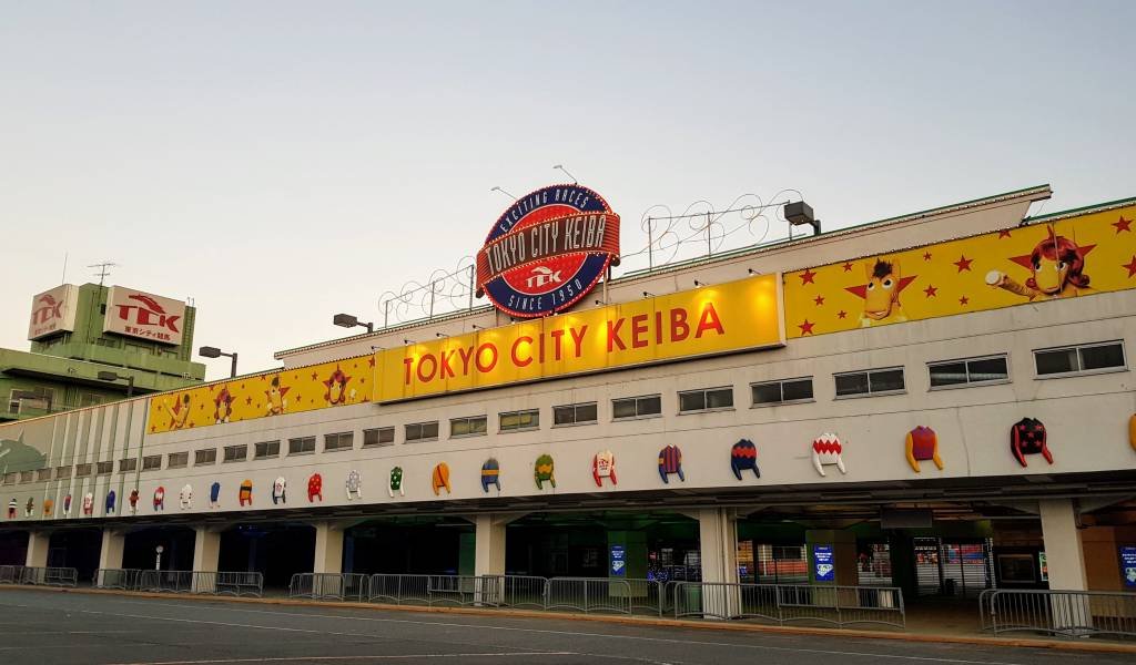 🏇 오이 경마장(오이케이바조) 이미지 1